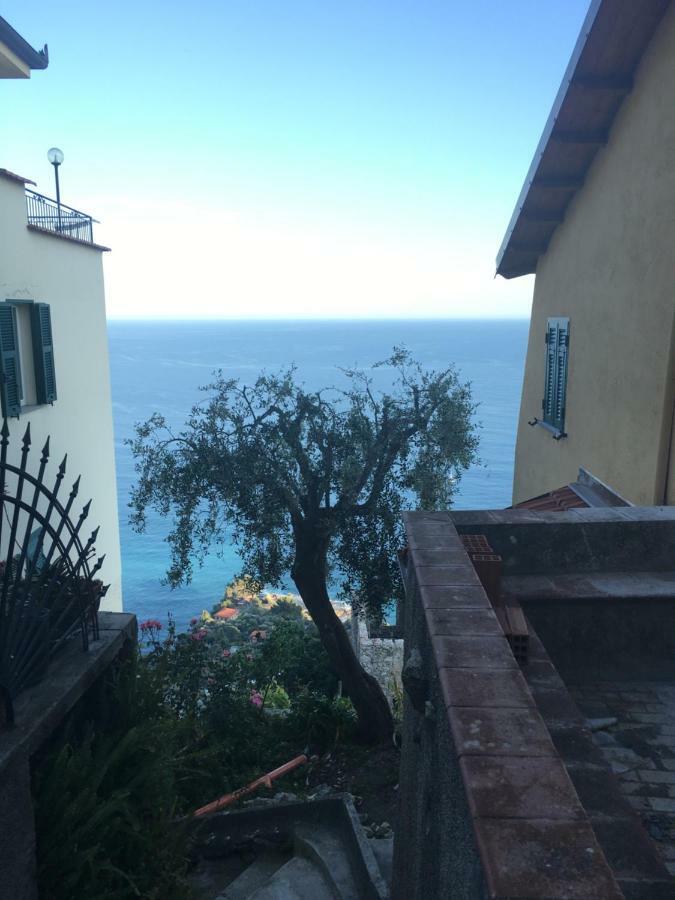 House In Grimaldi. Spectacular View Over The French Riviera! Grimaldi  Kültér fotó